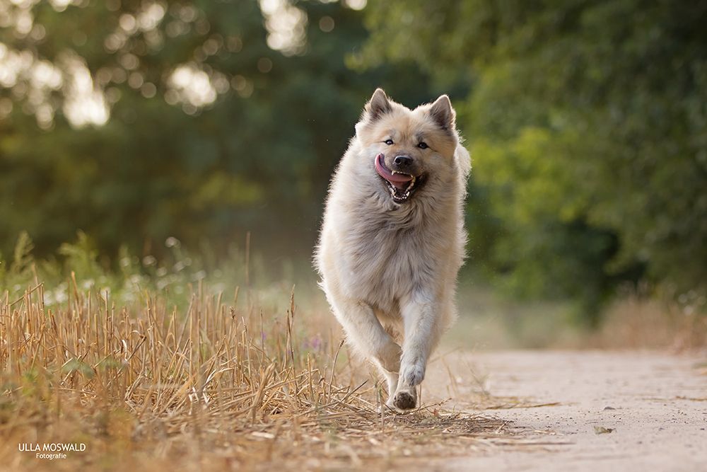 Ein guter Aktionstag, yeah!